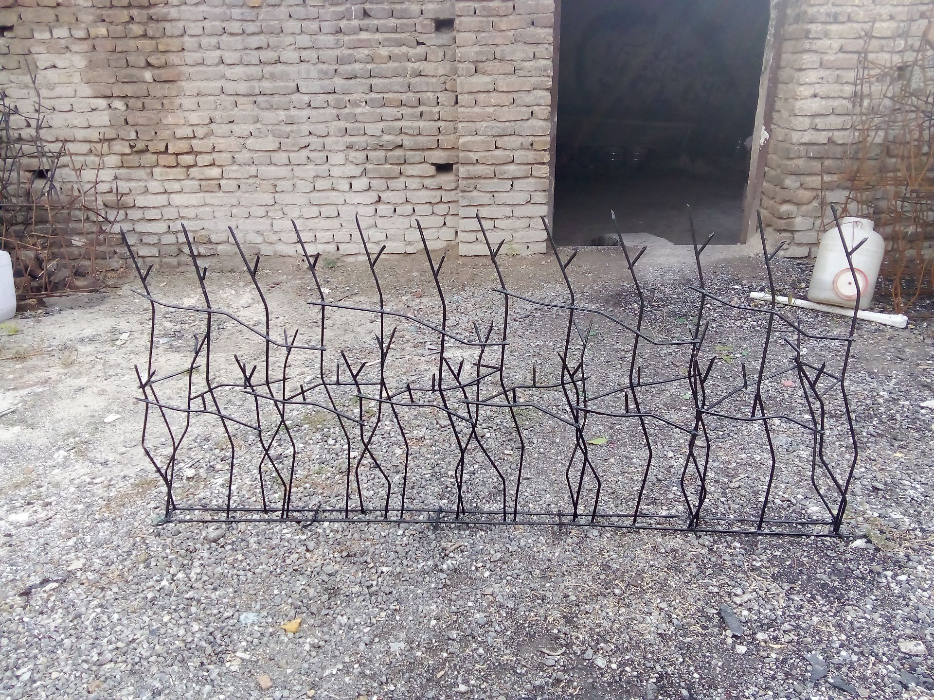 حفاظ شاخ گوزنی