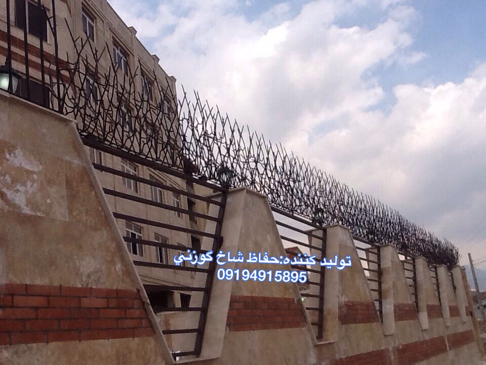 حفاظ شاخ گوزنی